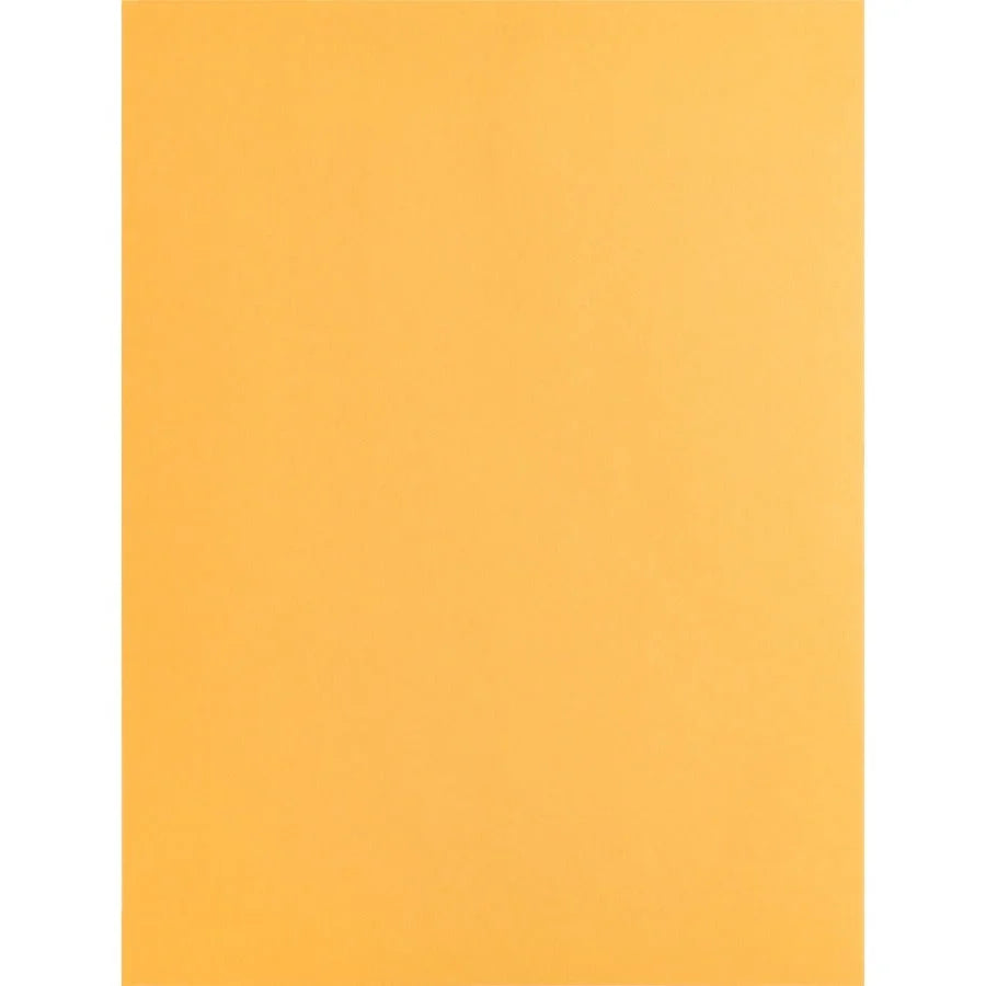 Business Source Kraft Gummed Catalog Envelopes - #10 1/2 - 9’’ x 12’’ - 28 lb - 250/Box - Large Format