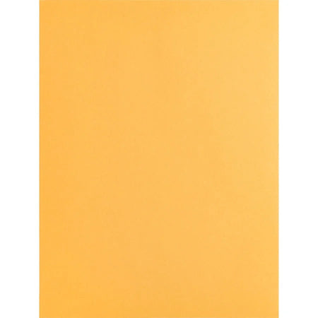 Business Source Kraft Gummed Catalog Envelopes - #10 1/2 - 9’’ x 12’’ - 28 lb - 250/Box - Large Format