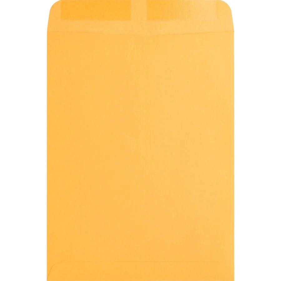 Business Source Kraft Gummed Catalog Envelopes - #10 1/2 - 9’’ x 12’’ - 28 lb - 250/Box - Large Format