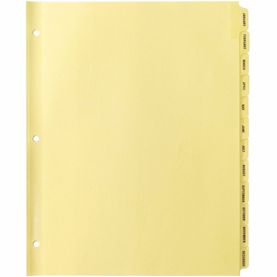 Business Source Monthly Clear Plastic Tab Index Dividers - Front