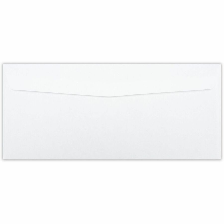 Business Source No. 10 Double-Window Invoice Envelopes - Rear