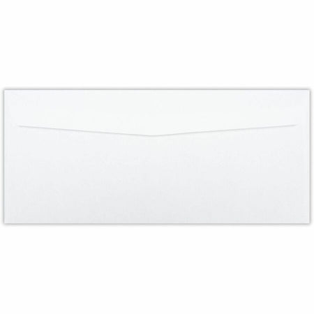 Business Source No. 10 Double-Window Invoice Envelopes - Rear