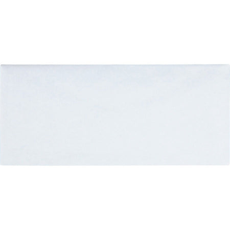 Business Source No.10 Regular Tint Security Envelopes - Front