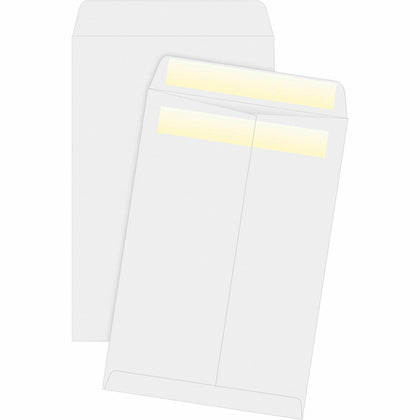 Business Source Press/Seal Catalog Envelopes - 6x9 - 28 lb - White - 100/Box - Large Format