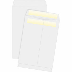 Business Source Press/Seal Catalog Envelopes - 6x9 - 28 lb - White - 100/Box - Large Format