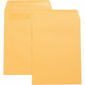 Business Source Press-To-Seal Catalog Envelopes - Self-sealing Kraft - Large Format