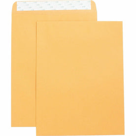 Business Source Self Adhesive Kraft Catalog Envelopes - 10x13 - 250/Box - Large Format