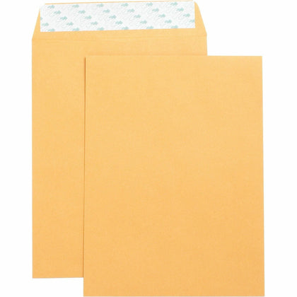 Business Source Self Adhesive Kraft Catalog Envelopes - 9x12 - 28 lb - Brown - Large Format
