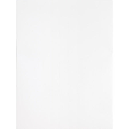 Business Source Self Sealing Catalog Envelope - Front