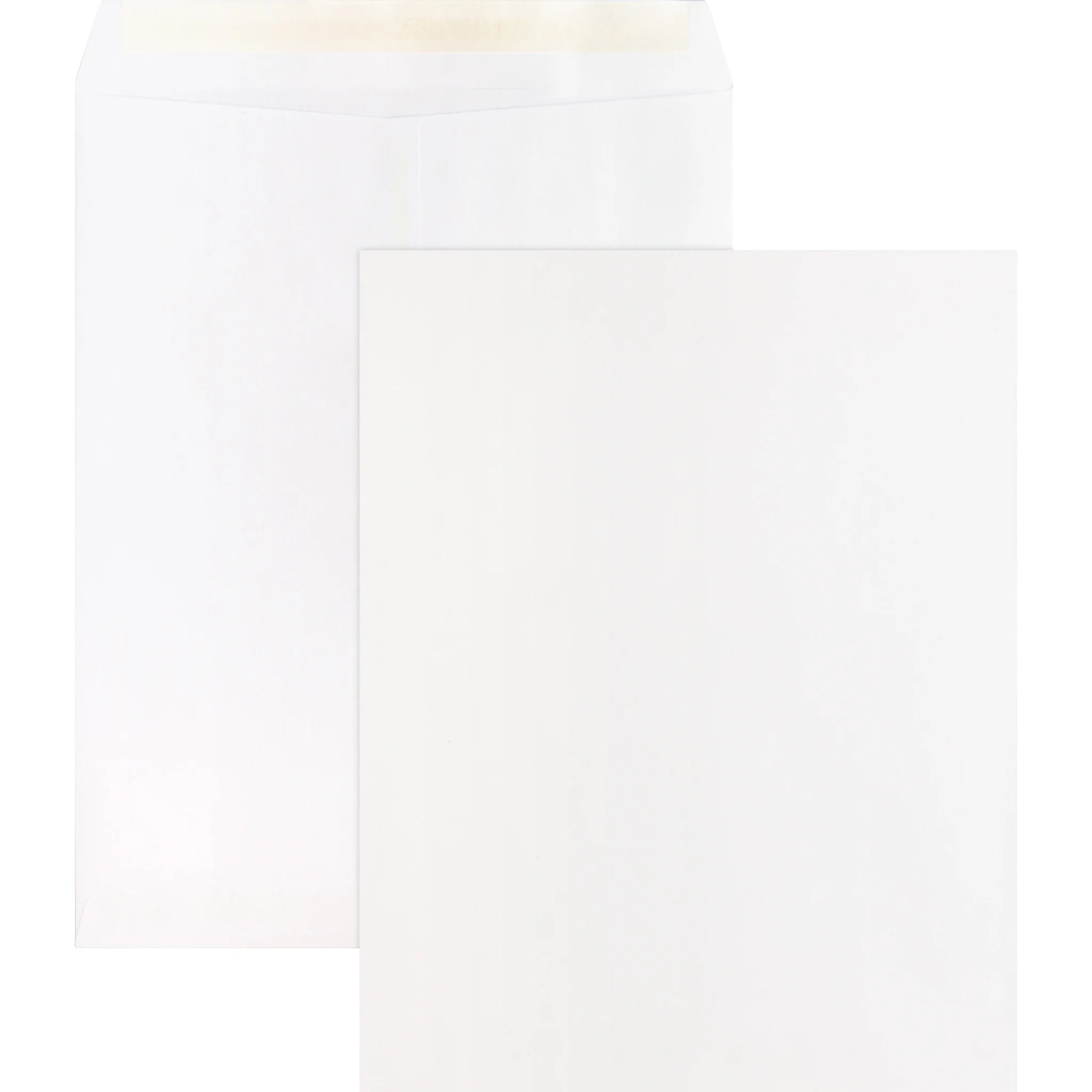 Business Source Self Sealing Catalog Envelopes - 10x13 - 28 lb - White - 100/Box - Large Format