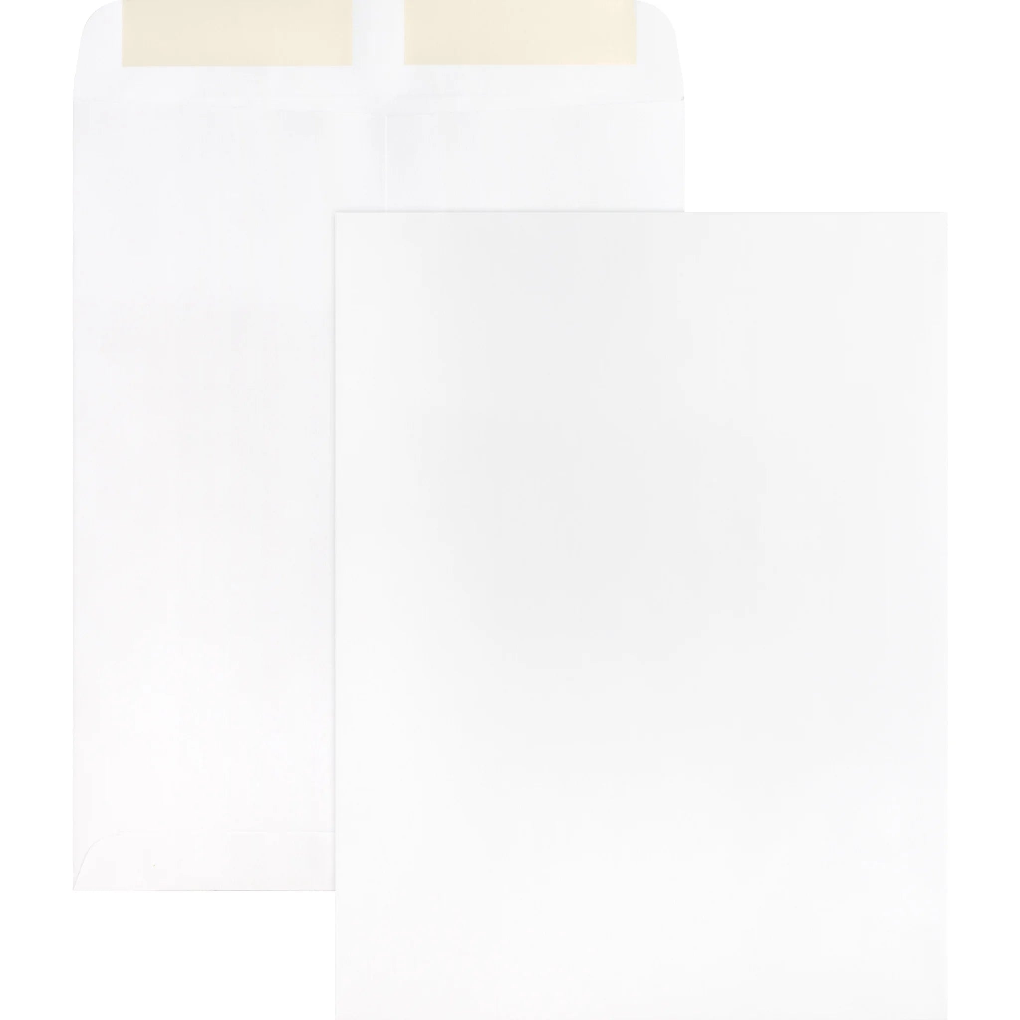 Business Source White Catalog Envelopes - #10 1/2 - 9’’ x 12’’ - 28 lb - 250/Box - Large Format