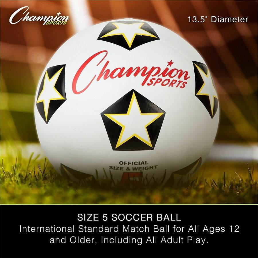 Champion Sports Variety Playground Set - Alternate-Image5