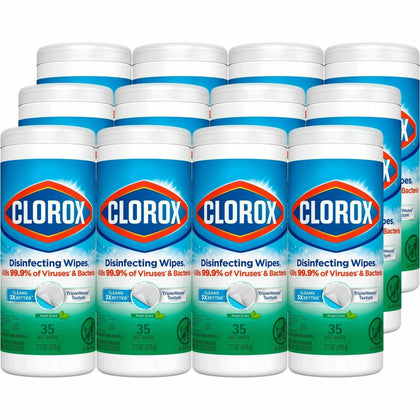 Clorox Disinfecting Cleaning Wipes: Fresh Scent Germs Remover - 12 Carton - Wipes