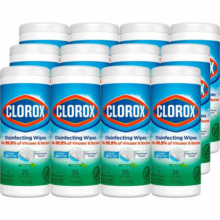Clorox Disinfecting Cleaning Wipes: Fresh Scent Germs Remover - 12 Carton - Wipes
