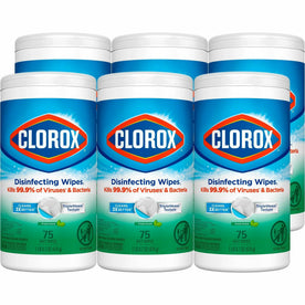 Clorox Disinfecting Wipes: Multipurpose Cleaning - Fresh Scent - 6 Cartons - Wipes