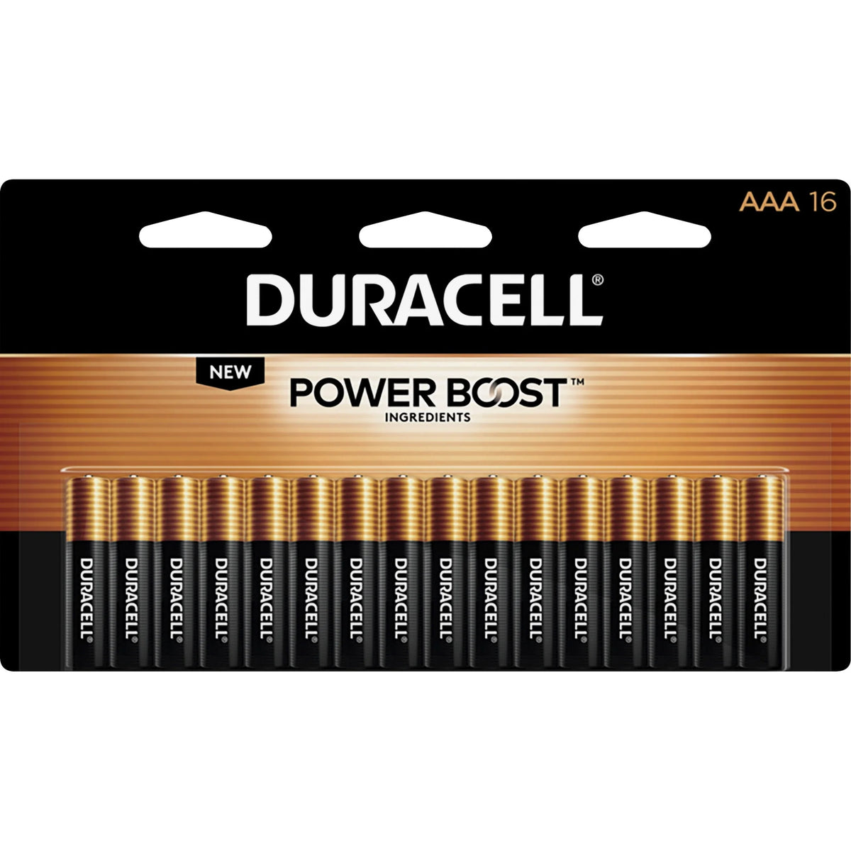 Duracell Coppertop AAA Batteries - Reliable Power for All Devices - & Battery Chargers