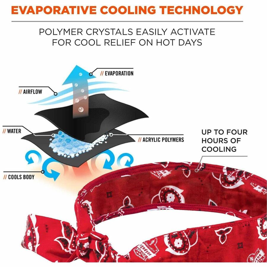 Ergodyne Chill-Its 6700 Cooling Bandana - Alternate-Image1