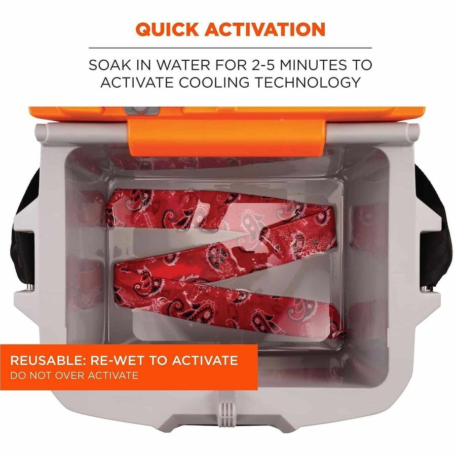 Ergodyne Chill-Its 6700 Cooling Bandana - Alternate-Image2
