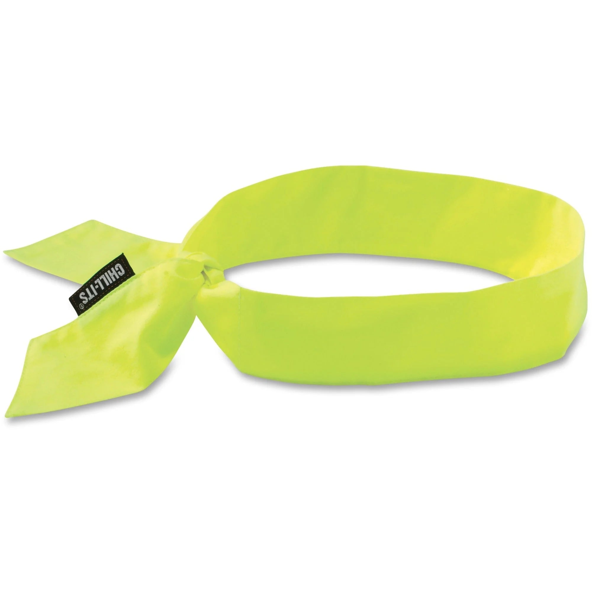 Ergodyne Cooling Bandana: Stay Cool with Evaporating Technology - Protective Gear