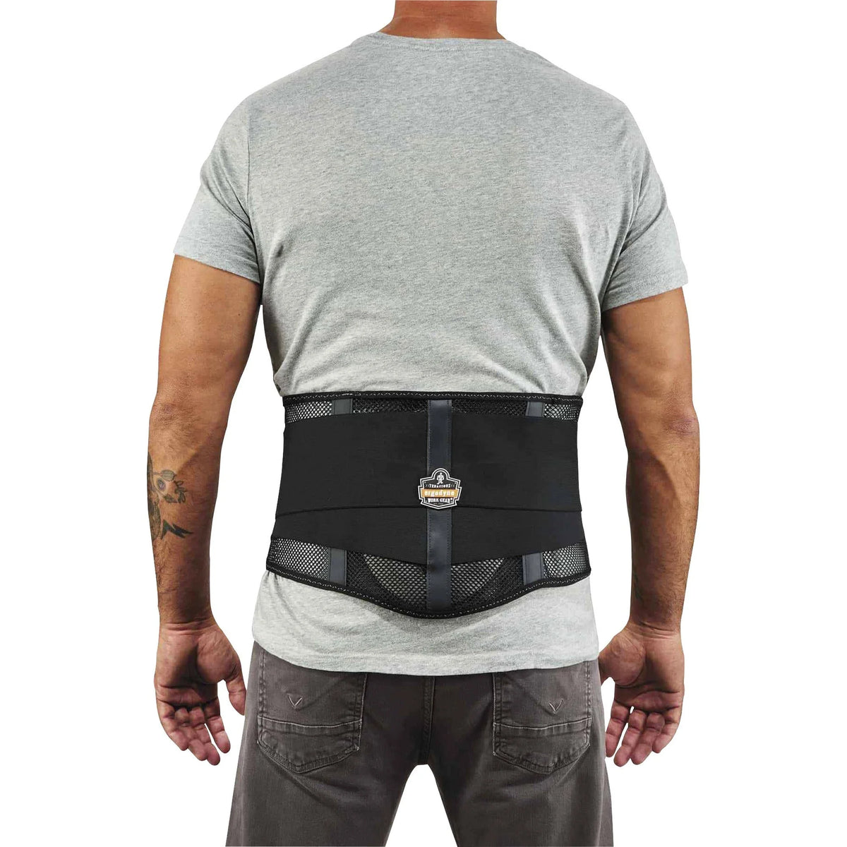Ergodyne ProFlex 1051 Mesh Back Support: Lumbar Pad Black Fabric - Supports
