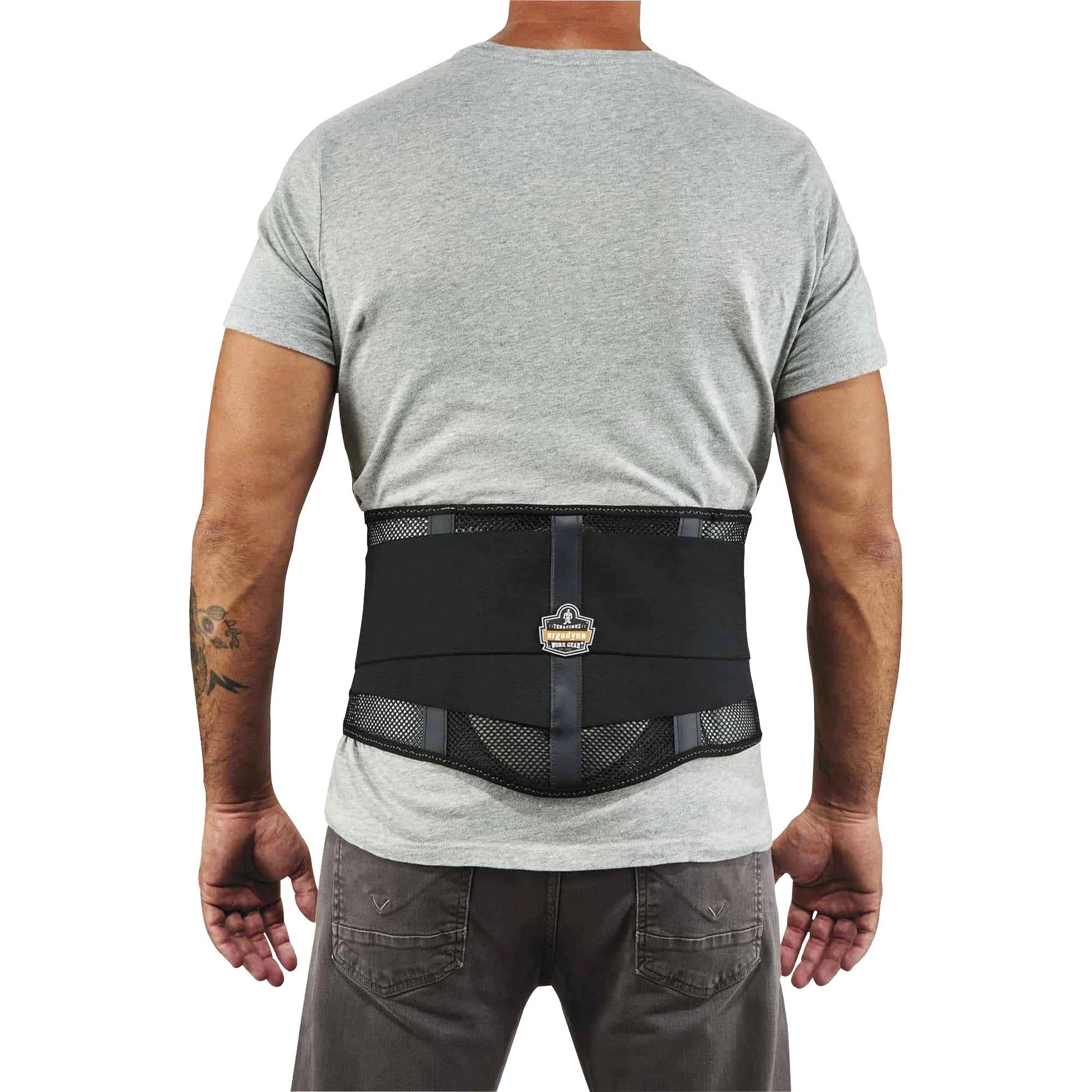 Ergodyne ProFlex 1051 Mesh Back Support: Lumbar Pad Black Fabric - Supports