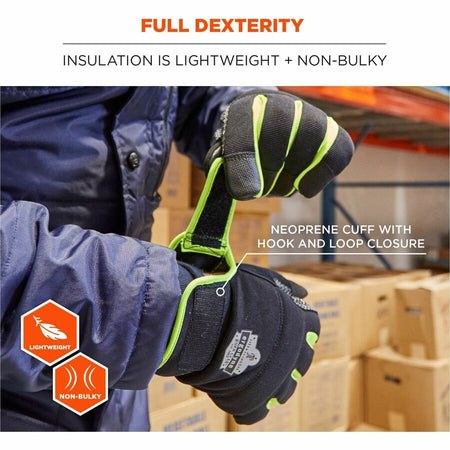 Ergodyne ProFlex 850 Insulated Freezer Gloves - Alternate-Image4