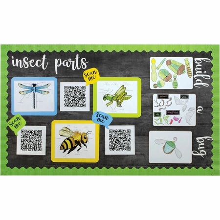 Fadeless Designs Paper Roll: Black Art & Craft for Classroom Display and Bulletin Board - Sets Trim