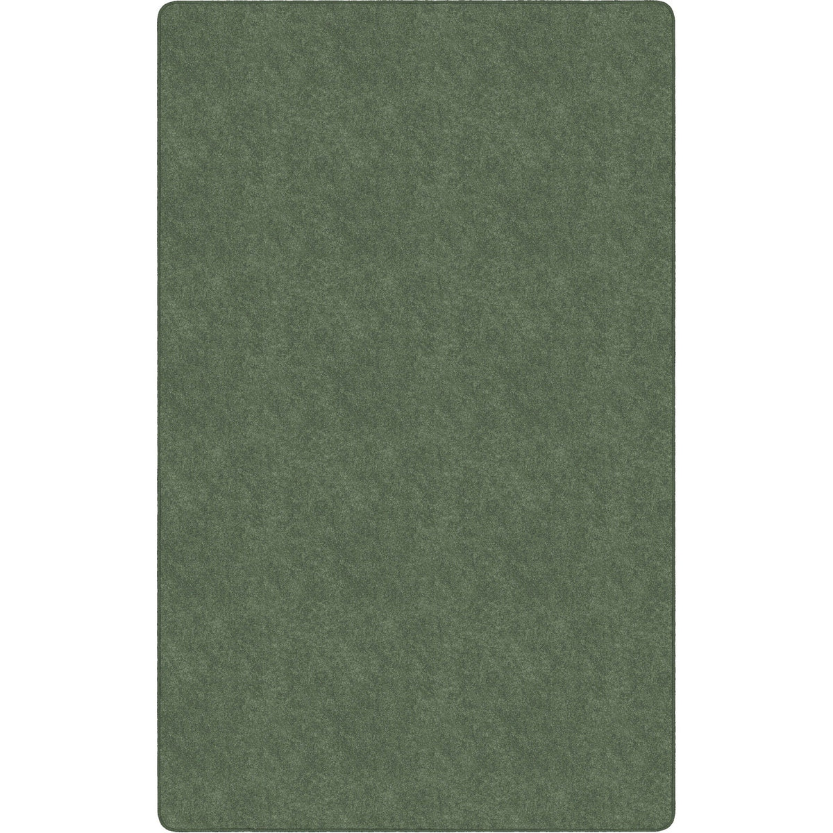 Flagship Carpets Amerisoft Solid Color Rug - 2000