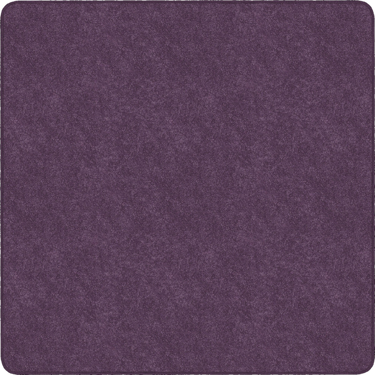 Flagship Carpets Amerisoft Solid Color Rug - 2000