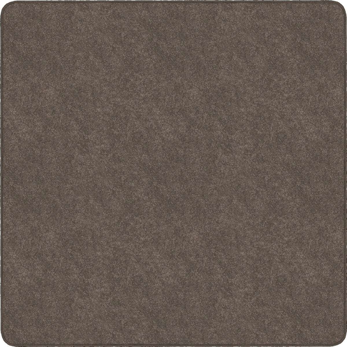 Flagship Carpets Amerisoft Solid Color Rug - 2000