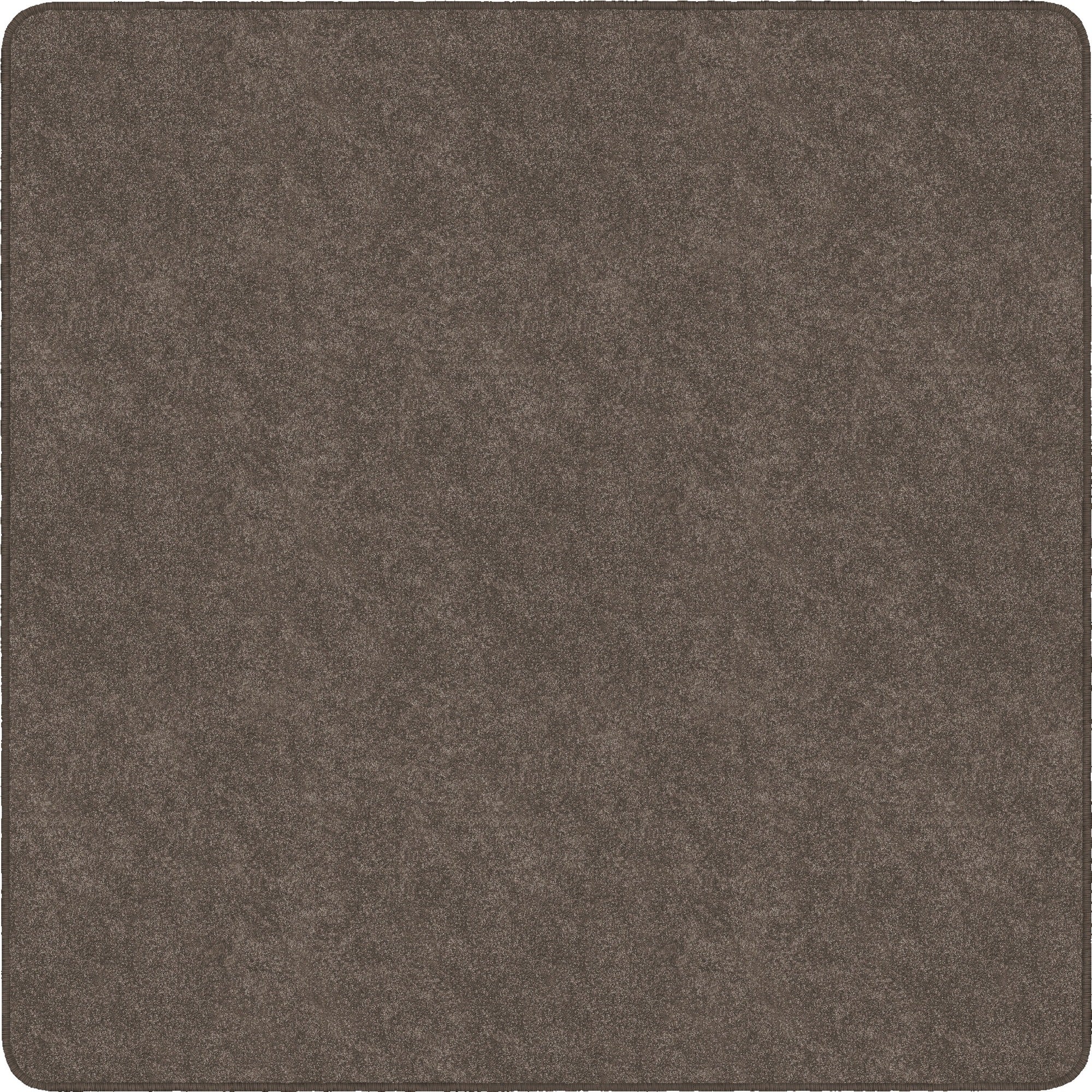Flagship Carpets Amerisoft Solid Color Rug - 2000