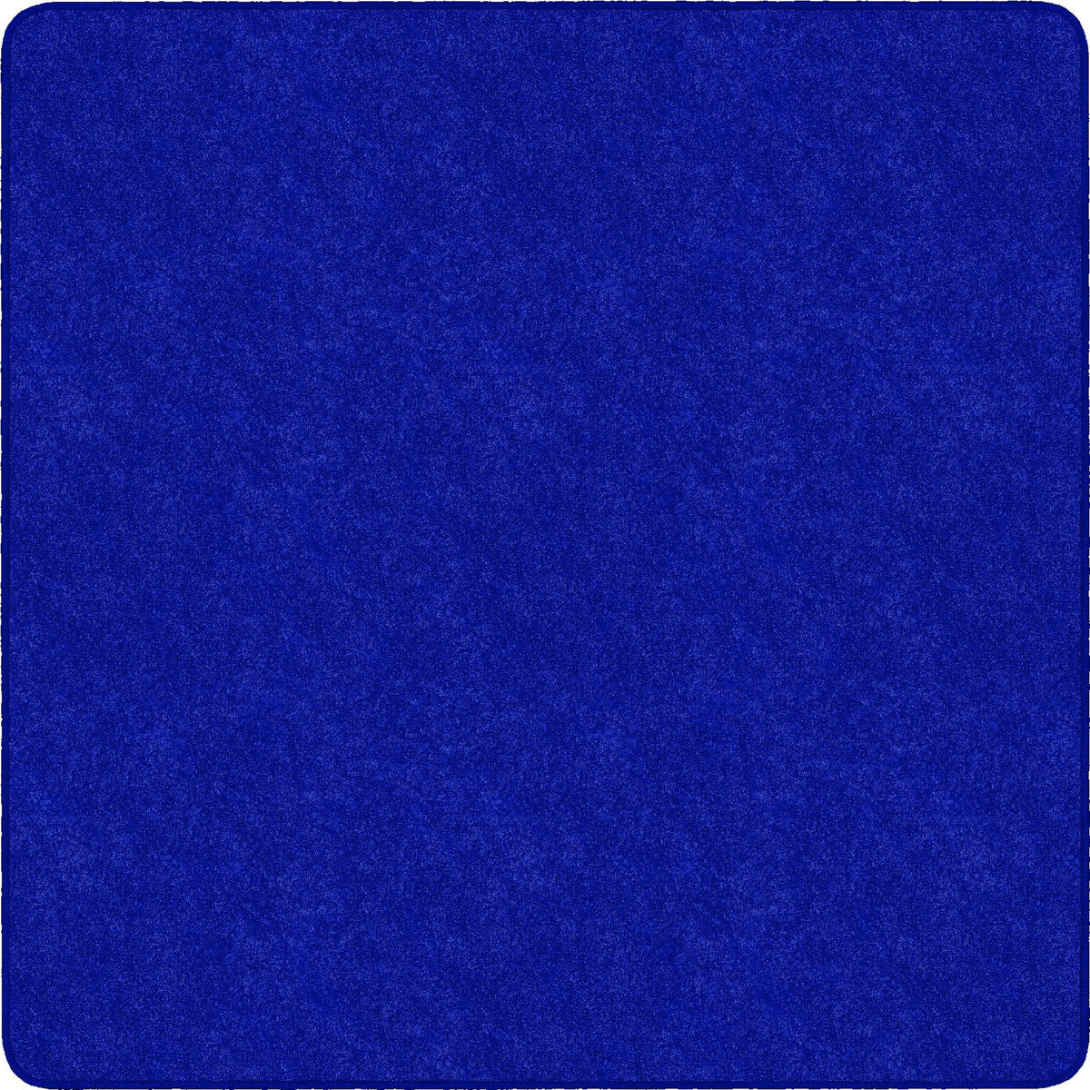Flagship Carpets Amerisoft Solid Color Rug - 2000