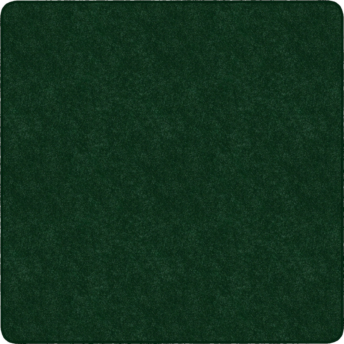 Flagship Carpets Amerisoft Solid Color Rug - 2000