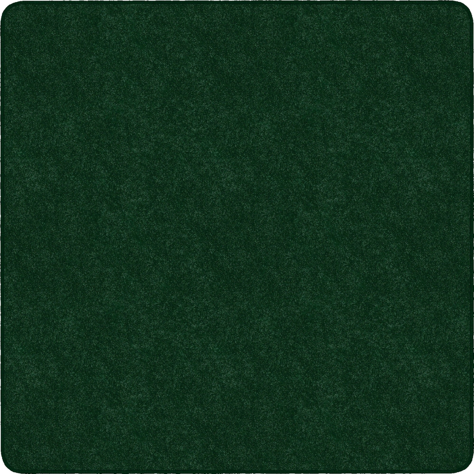 Flagship Carpets Amerisoft Solid Color Rug - 2000