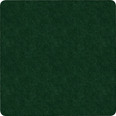 Flagship Carpets Amerisoft Solid Color Rug - 2000