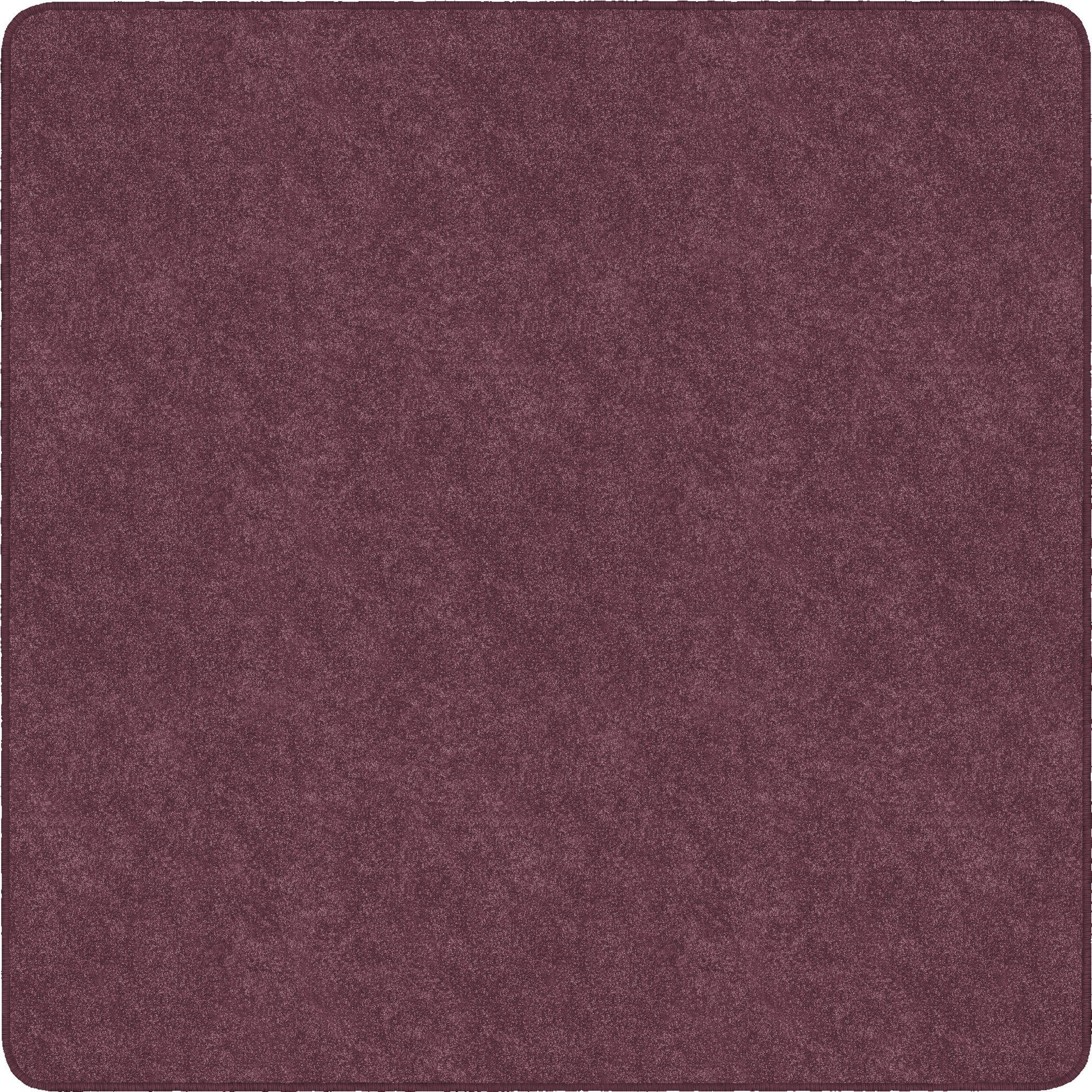 Flagship Carpets Amerisoft Solid Color Rug - 2000