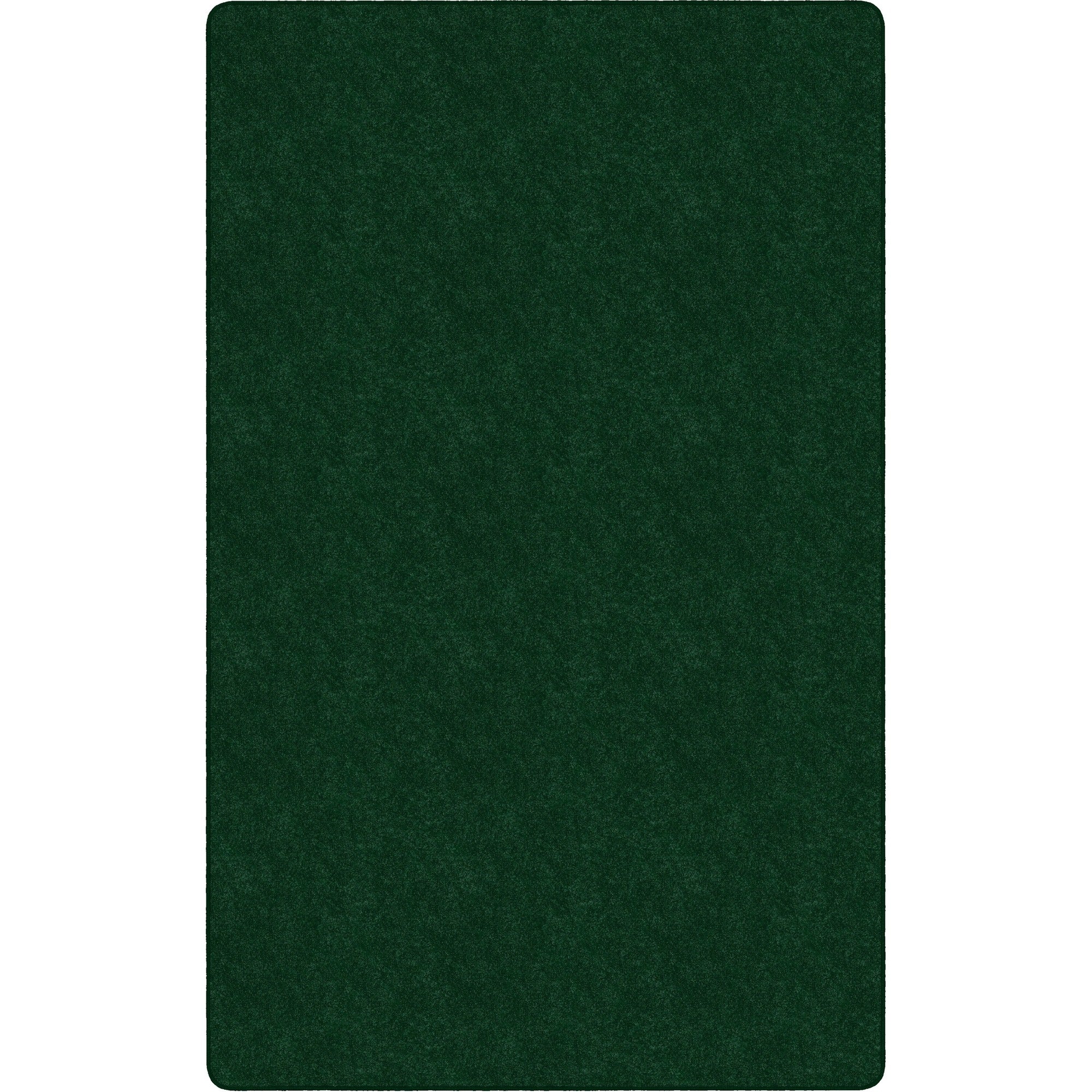Flagship Carpets Amerisoft Solid Color Rug - 2000