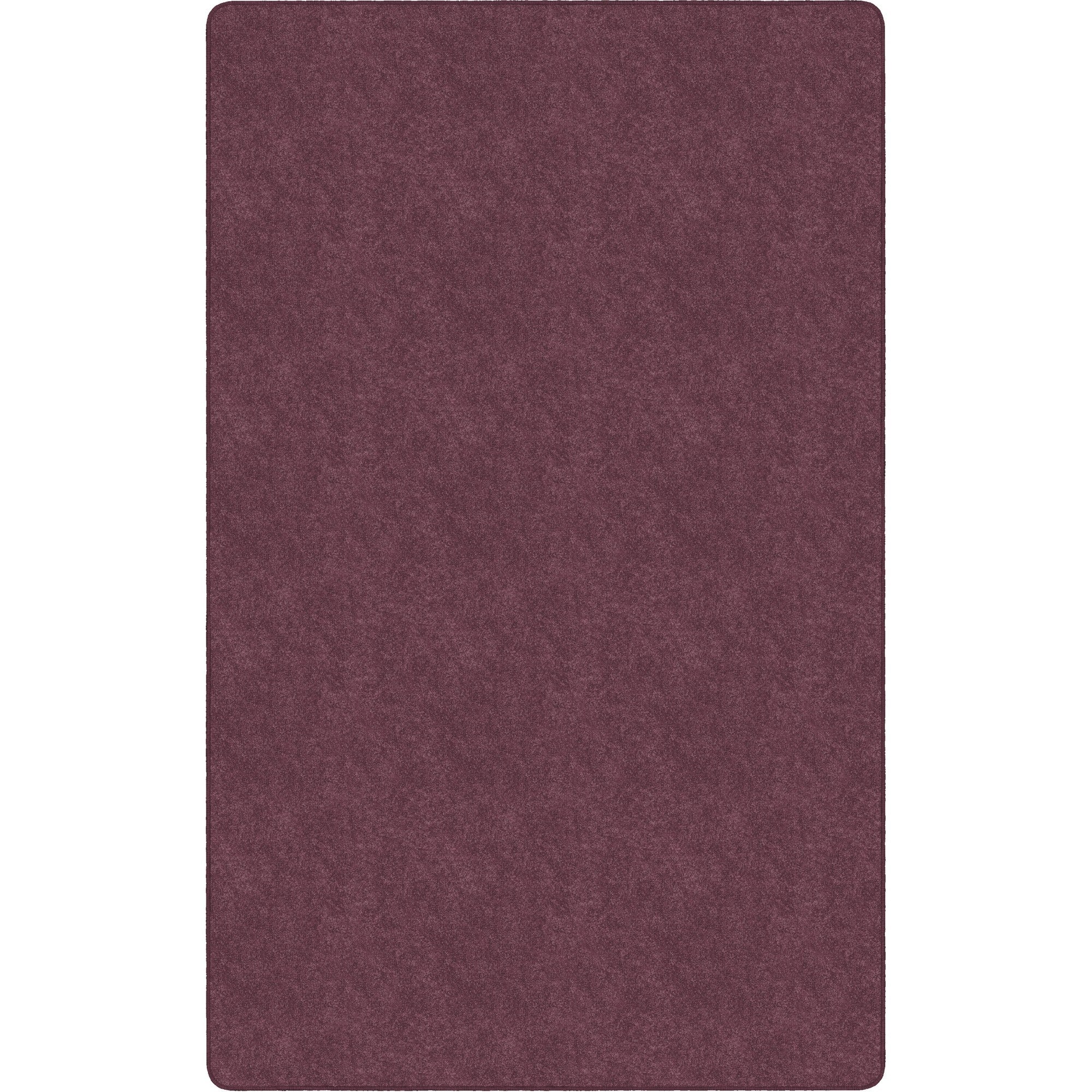Flagship Carpets Amerisoft Solid Color Rug - 2000