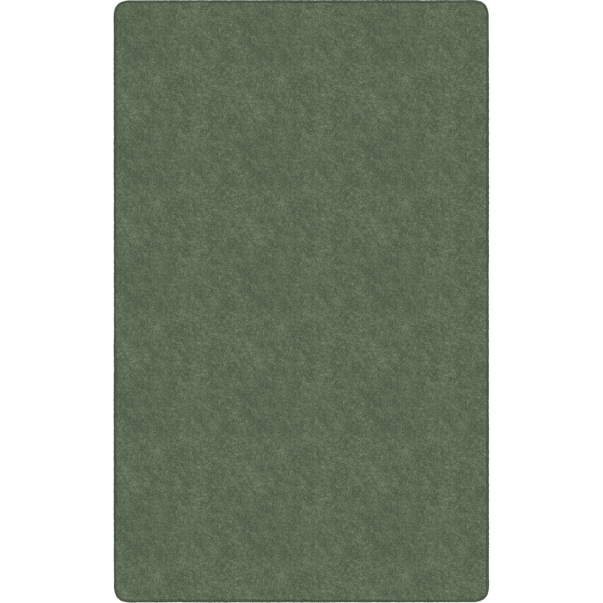 Flagship Carpets Amerisoft Solid Color Rug - 2000