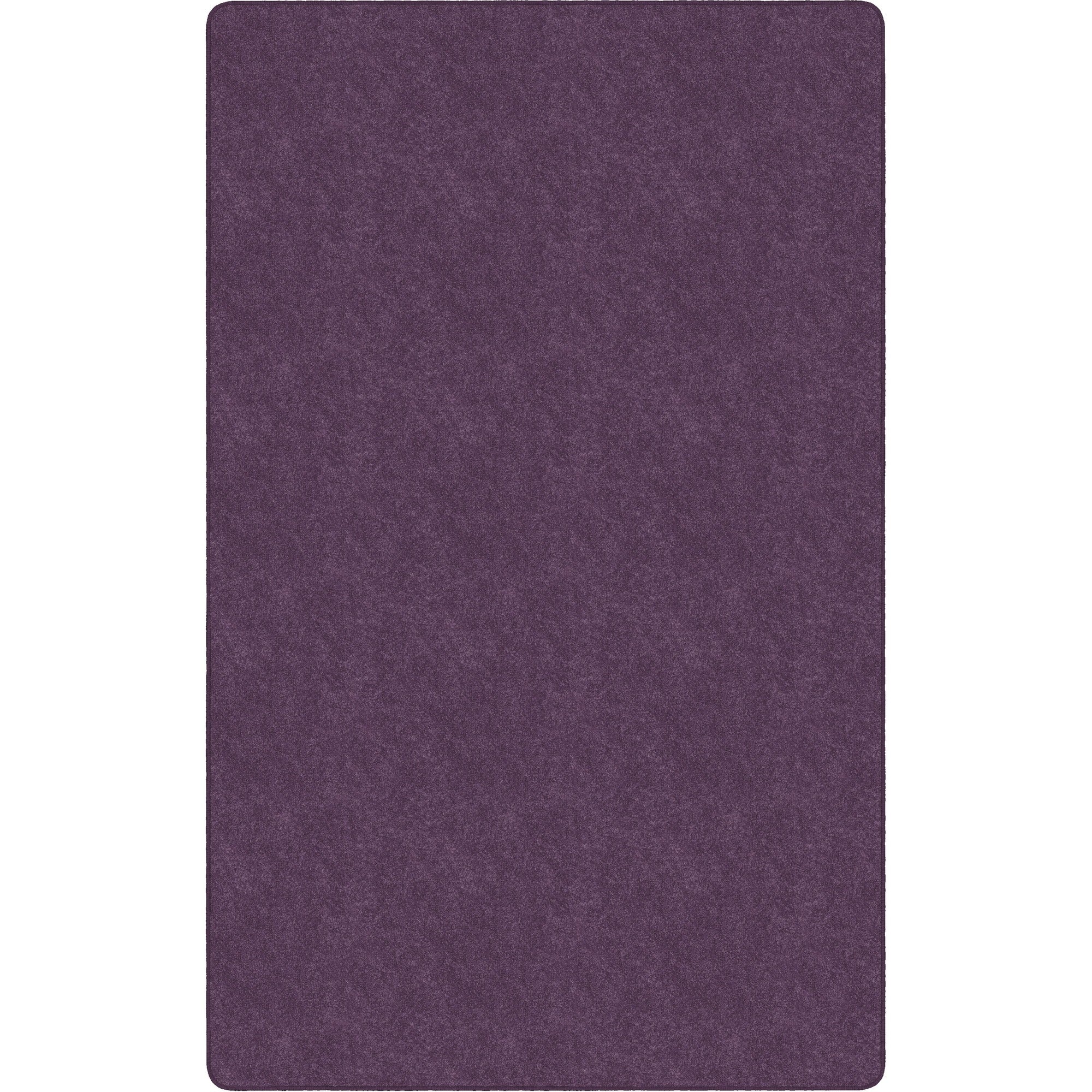 Flagship Carpets Amerisoft Solid Color Rug - 2000