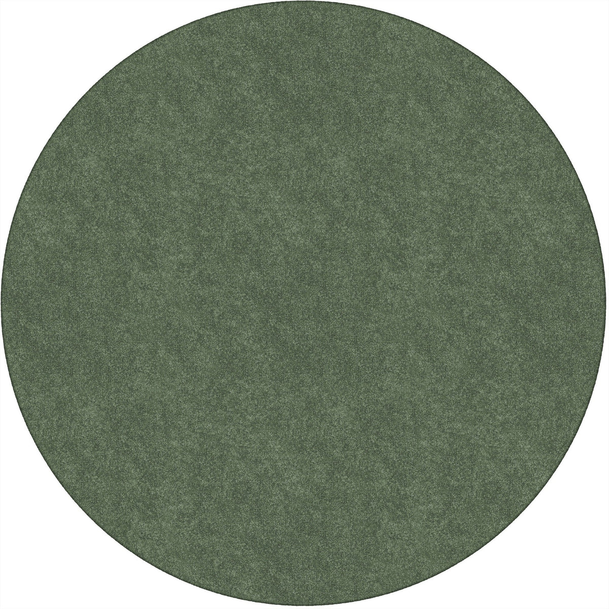 Flagship Carpets Amerisoft Solid Color Rug - 2000