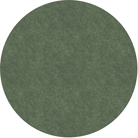 Flagship Carpets Amerisoft Solid Color Rug - 2000