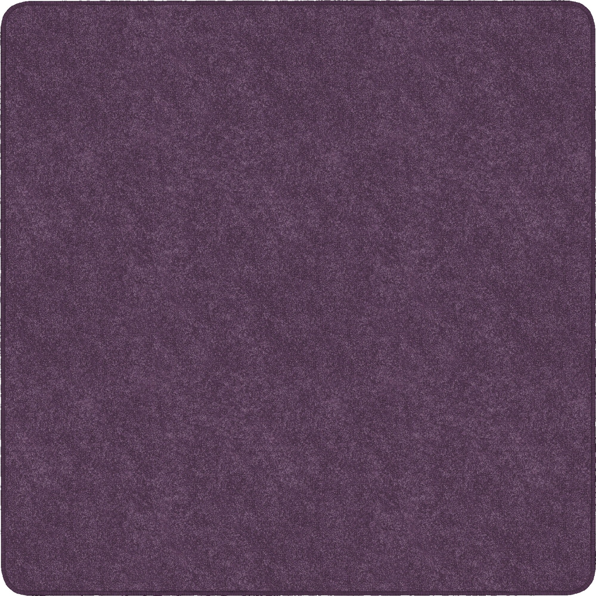 Flagship Carpets Amerisoft Solid Color Rug - 2000