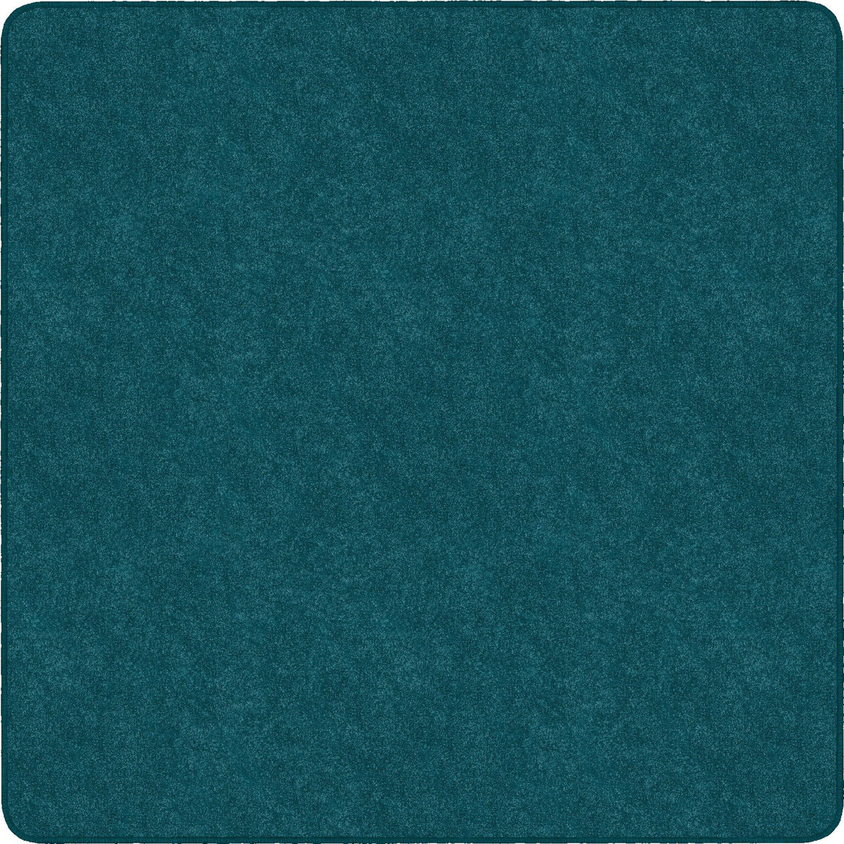 Flagship Carpets Amerisoft Solid Color Rug - 2000