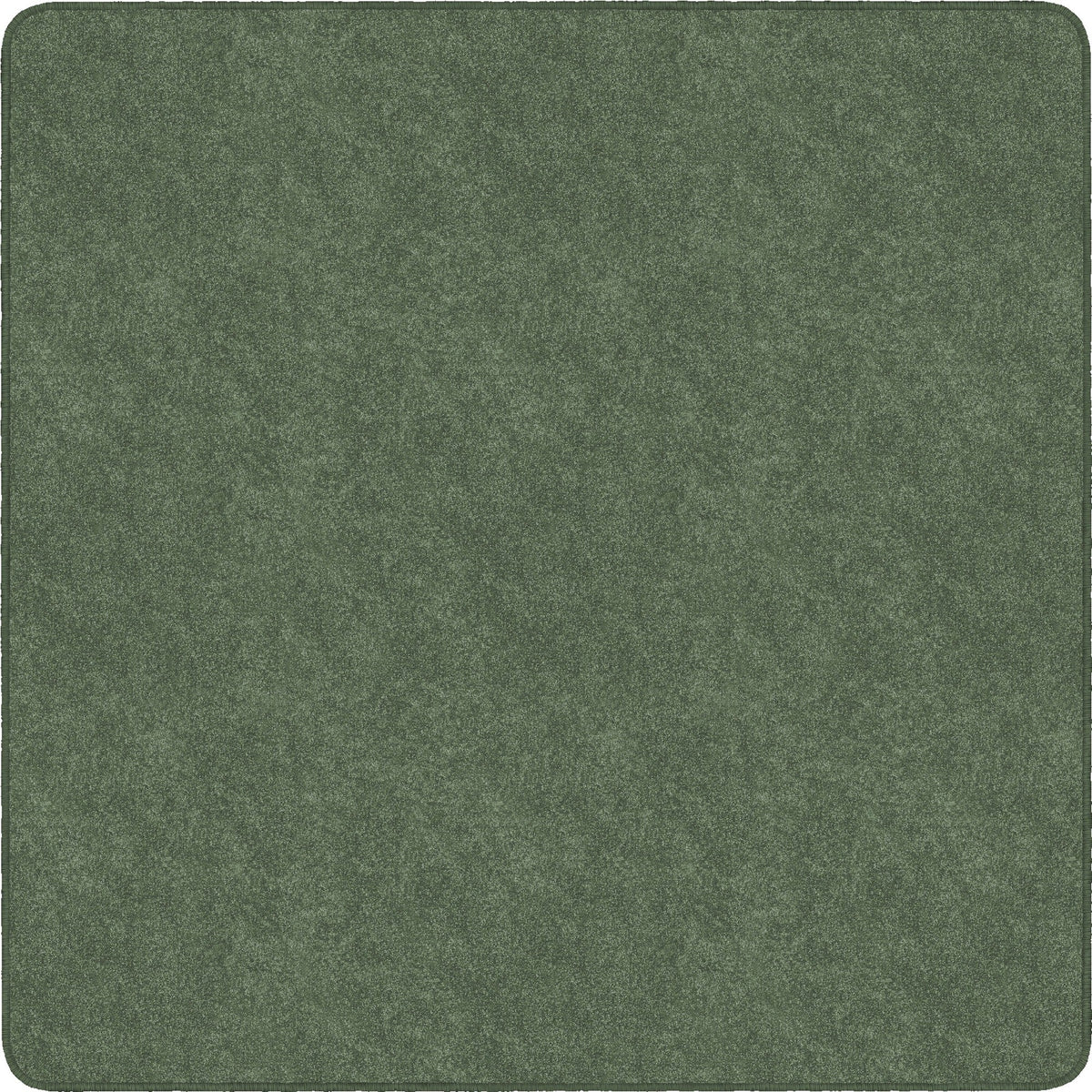 Flagship Carpets Amerisoft Solid Color Rug - 2000