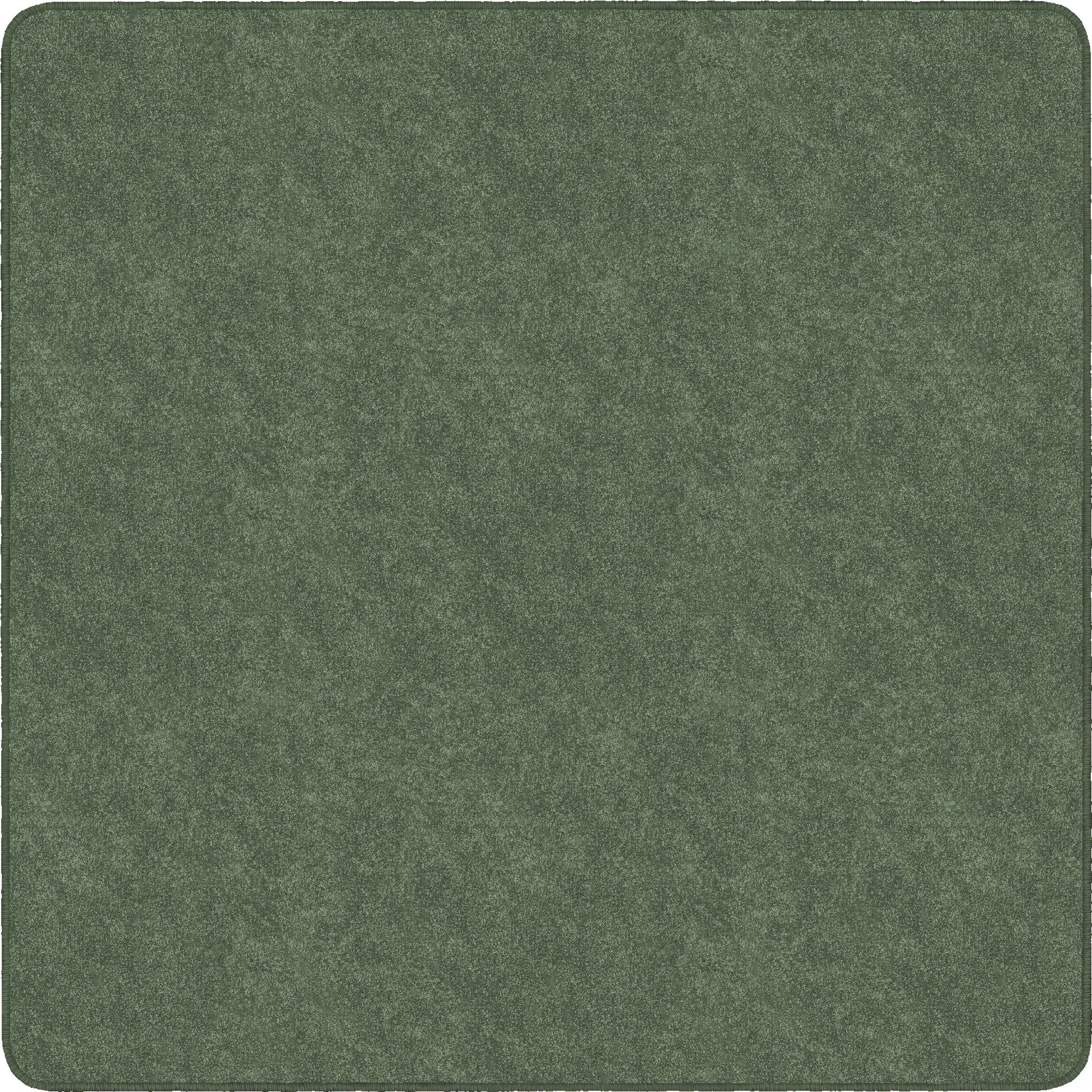 Flagship Carpets Amerisoft Solid Color Rug - 2000