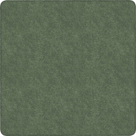 Flagship Carpets Amerisoft Solid Color Rug - 2000