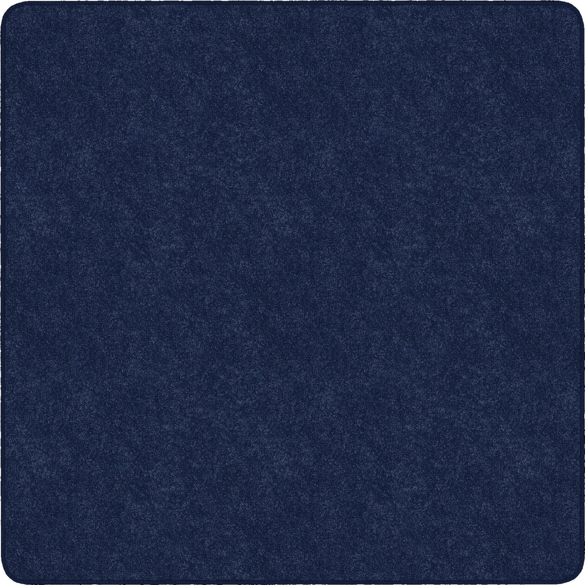 Flagship Carpets Amerisoft Solid Color Rug - 2000