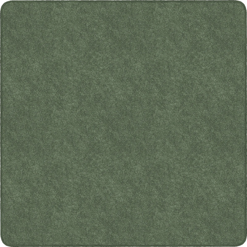 Flagship Carpets Amerisoft Solid Color Rug - Sage Green Square - Rugs & Mats