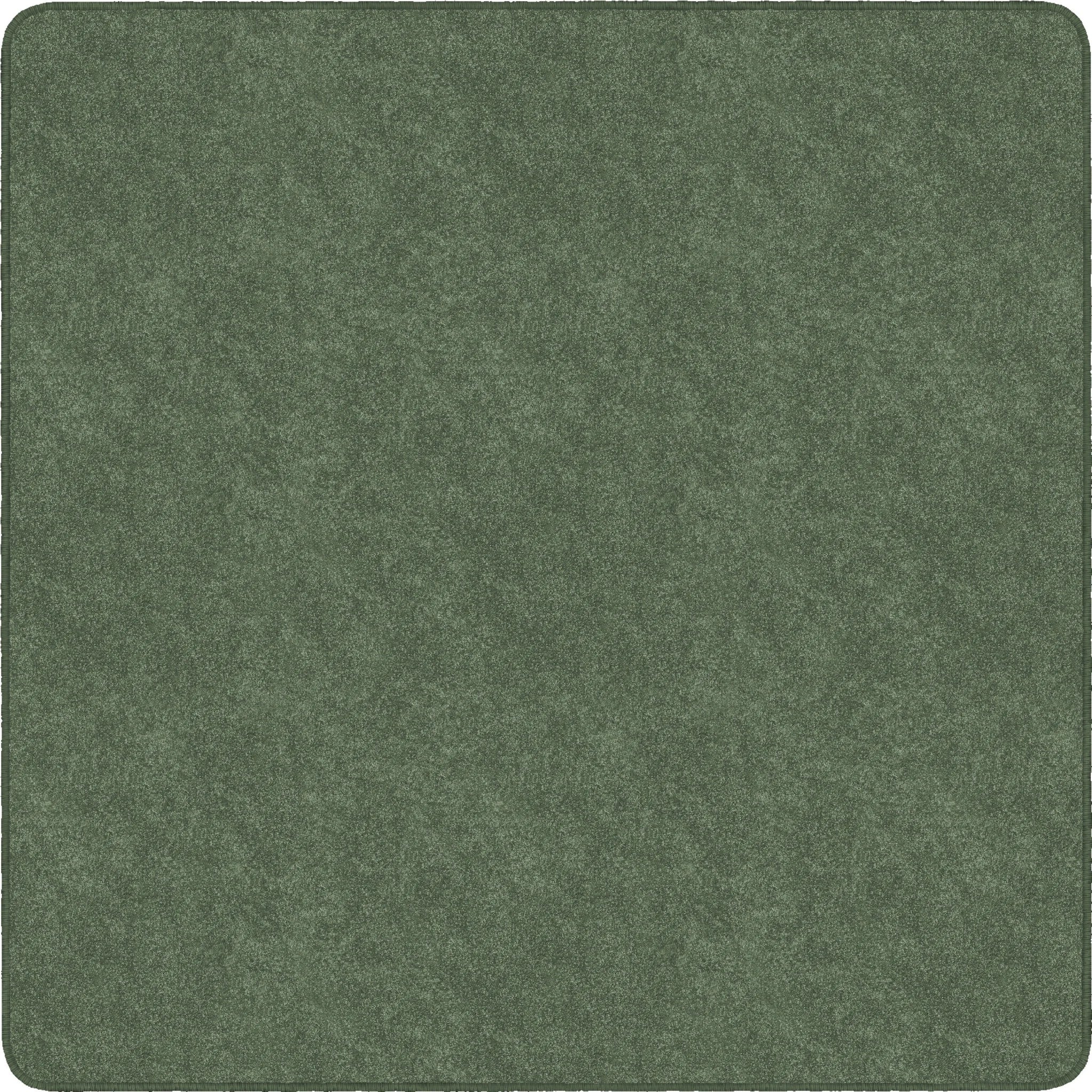 Flagship Carpets Amerisoft Solid Color Rug - Sage Green Square - Rugs & Mats